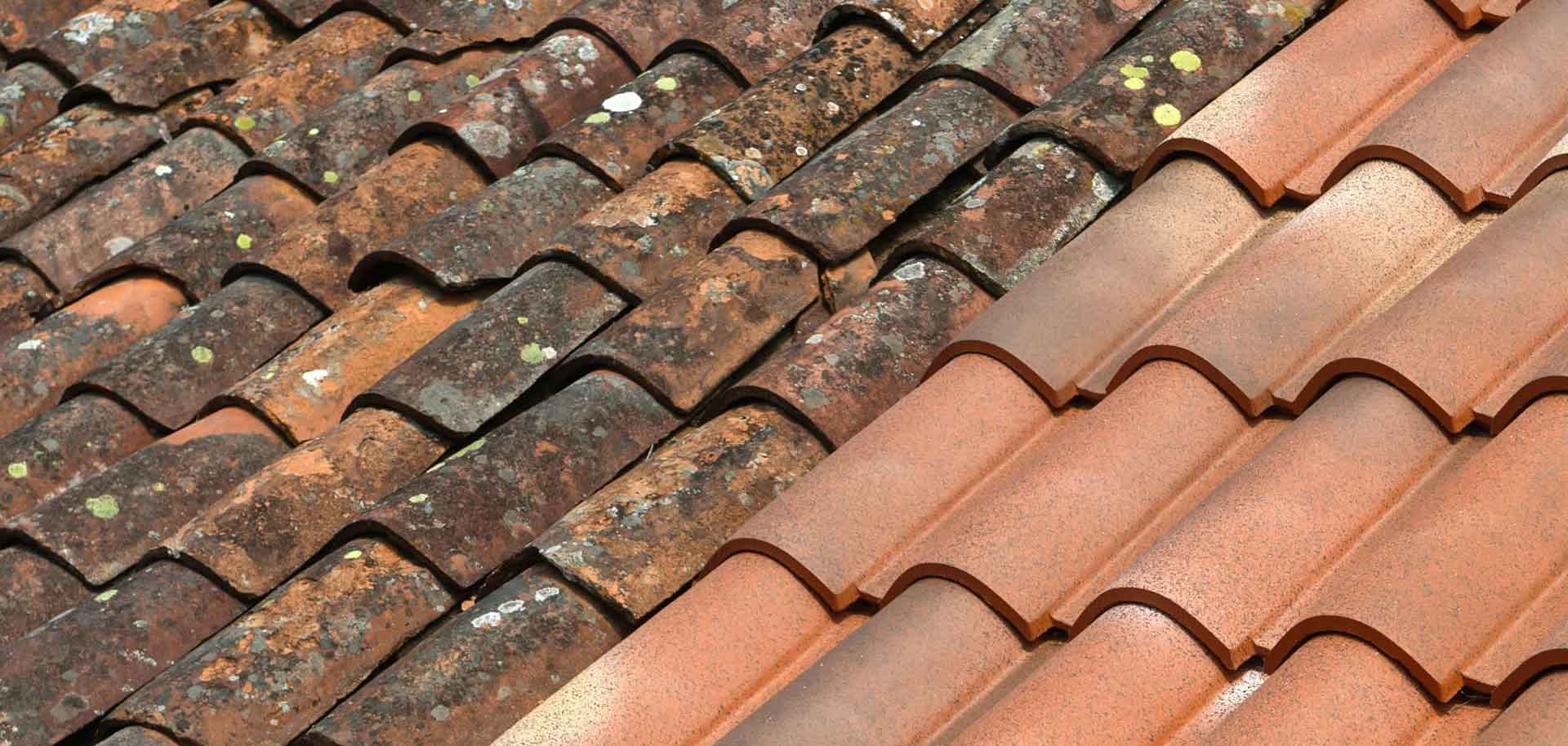 Démoussage toiture Lyon